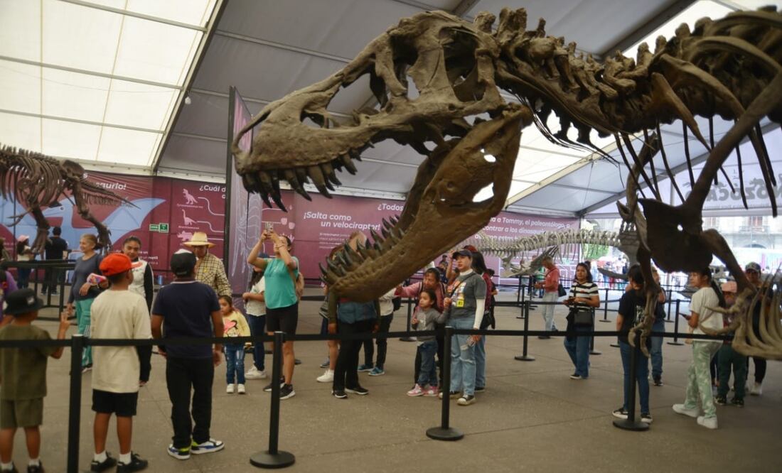 Zocalito de las infancias. Foto: Especial