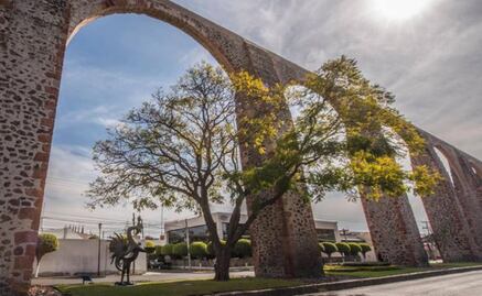 Are you a culture lover? This festival in Querétaro is for you!