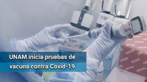 Vacuna de la UNAM contra Covid-19, ya en primera fase de evaluación de animales