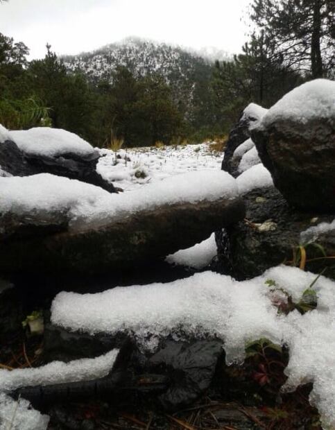 5 lugares que no conocías en el Ajusco