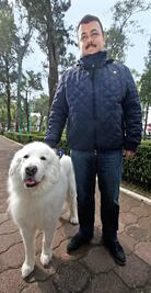 SSPDF ve beneficios en normativa vial