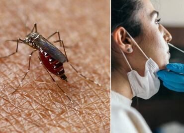 Síndrome de Guillain-Barré y dengue: ¿existe una relación entre las dos enfermedades?