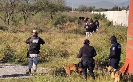 Despliegan operativo por desaparición de académico colombiano en Monterrey; la búsqueda se realiza con apoyo de binomios caninos y drones
