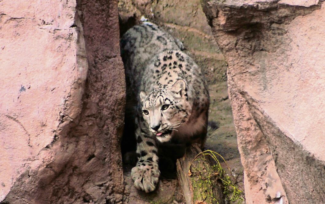 Archivo / EL UNIVERSAL