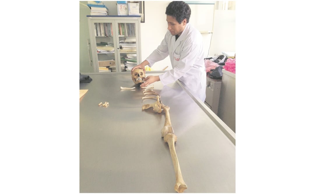 Los peritos forenses se basan en cuatro especialidades: Medicina Forense, Antropología, Odontología y Genética para el registro de cadáveres. Foto: ARCHIVO EL UNIVERSAL