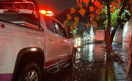 Fuertes lluvias en CDMX dejan árboles caídos, encharcamientos y la suspensión del Metrobús  
