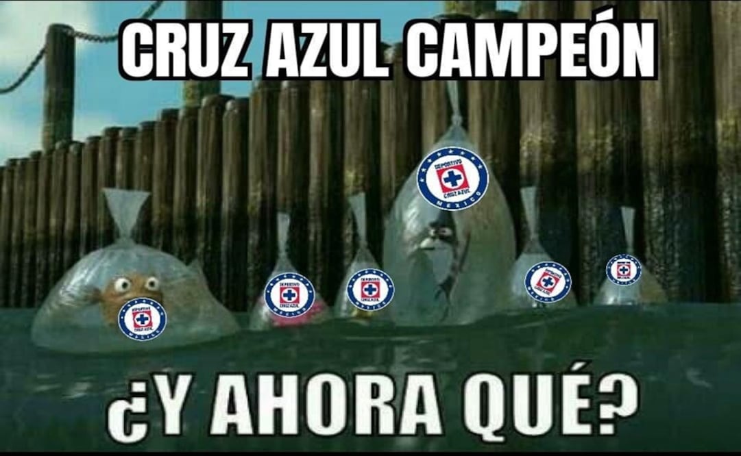 FOTOS: tomadas de redes