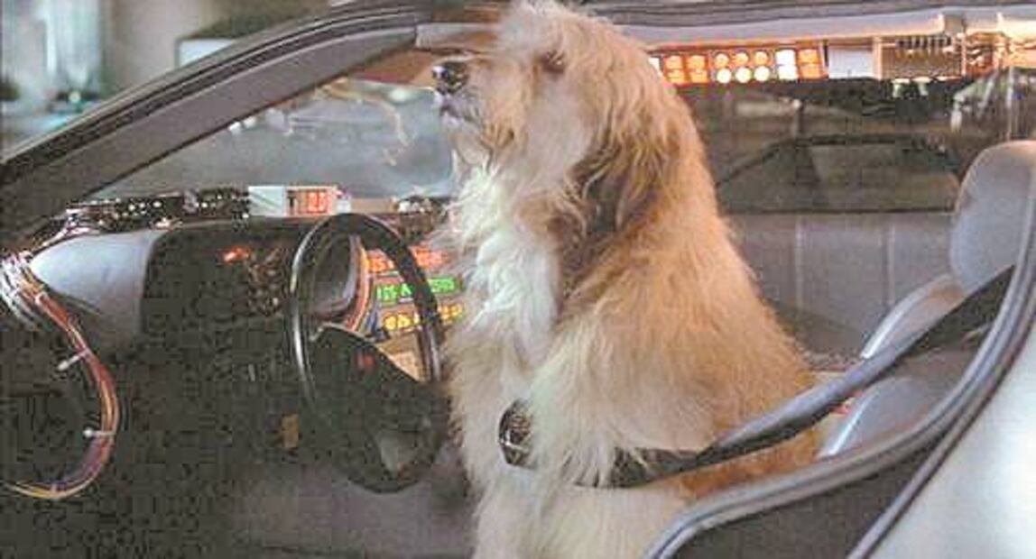 "Volver al futuro" toca el éxito como esfera de adivino 