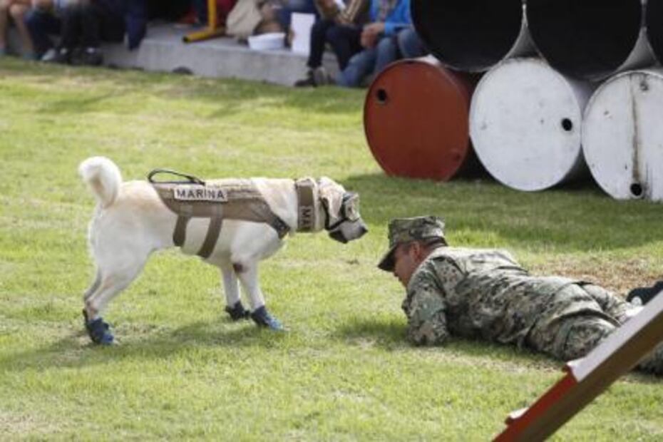 Con muñeco de Frida, niña disfruta del Festival de la Marina