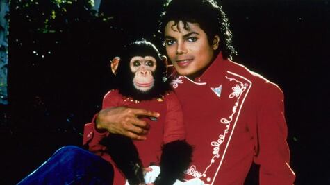 ¿Quién es Bubbles?; conoce la historia del chimpancé de Michael Jackson