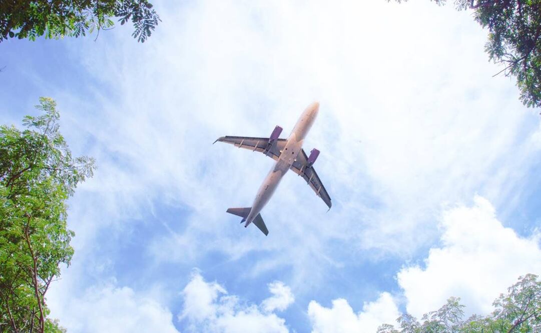 Foto: Twitter @viajaVolaris