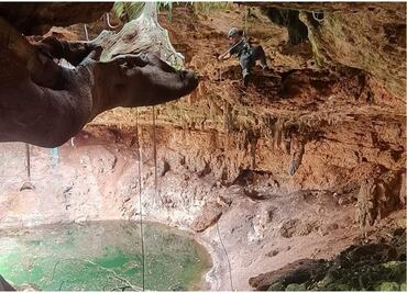 Estudiante de la Universidad Autónoma de Yucatán muere ahogado en un cenote; institución lamenta el caso