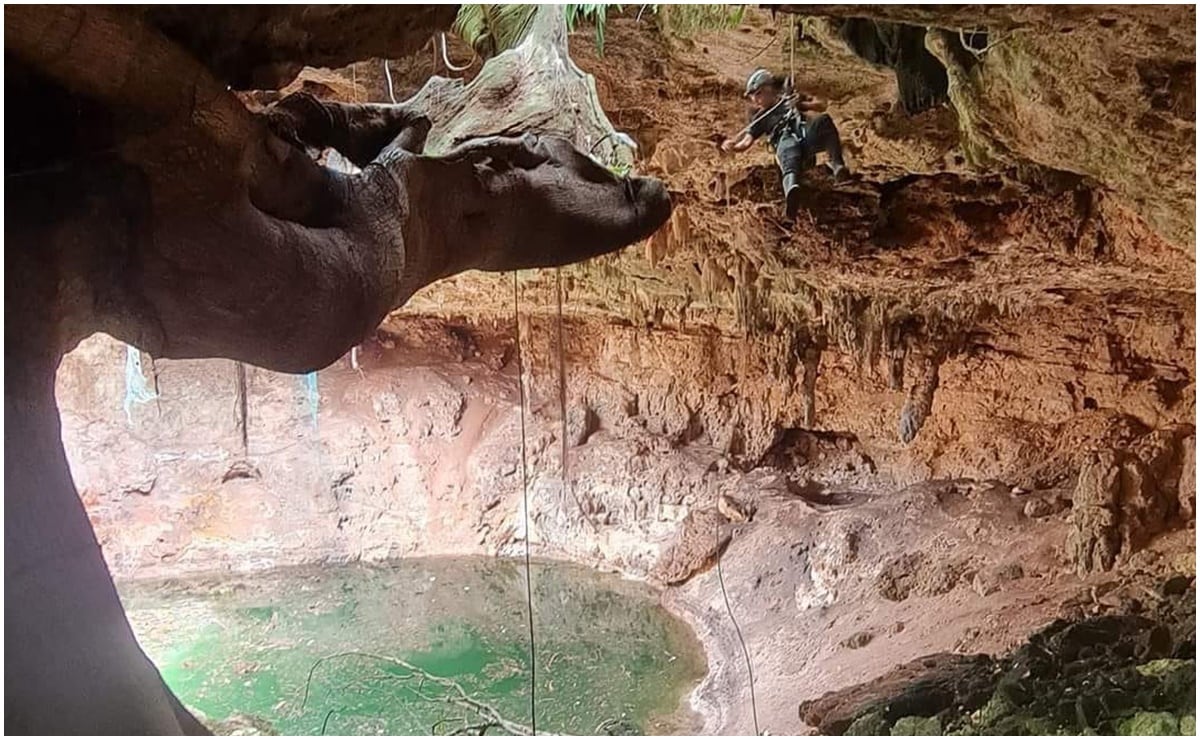 Los buzos observaron en el fondo del cenote bloques de piedra derivados del colapso de la bóveda en el cenote de Xocén, Yucatán. Foto: Especial