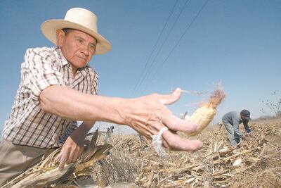 Congreso Agrario Permanente rechaza "Programa Bracero"
