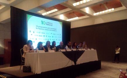 Expertos denuncian "corrupción ambiental" en México  