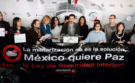 ​Ley de Seguridad no representa intereses de la ciudadanía: activistas