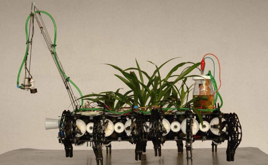 “Plantas nómadas” pretende involucrarse en la biotecnología y proponer, más que soluciones científicas a déficits ambientales, una conciencia una conciencia colectiva sobre el impacto ecológico. (FOTO: tomada de plantasnomadas.blogspot.mx)