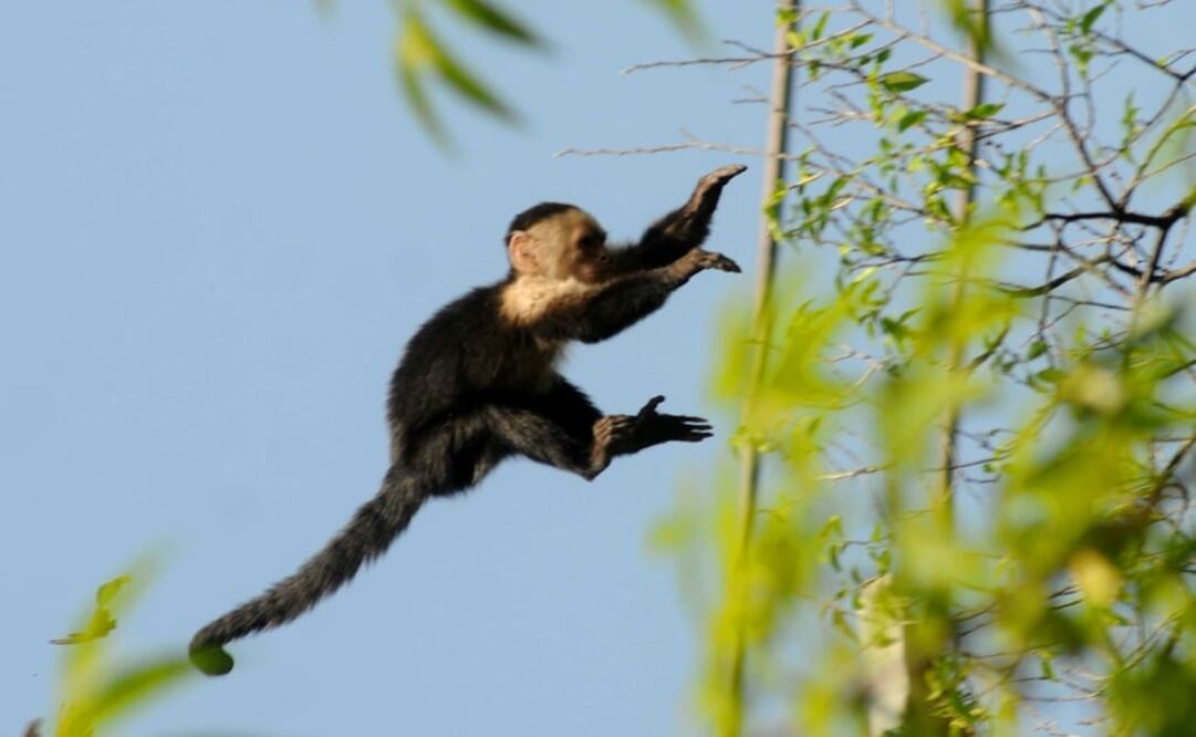 Foto: Archivo/EL UNIVERSAL