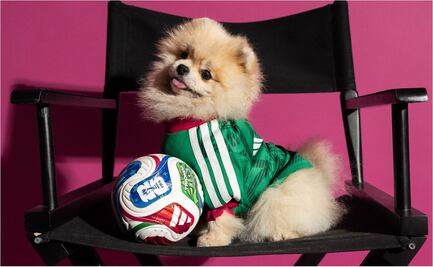 Adidas sorprende con playeras mundialistas para perros y México se roba la atención