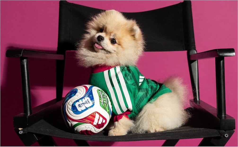 FOTO: ESPECIAL - Adidas sorprende con playeras mundialistas para perros y México se roba la atención