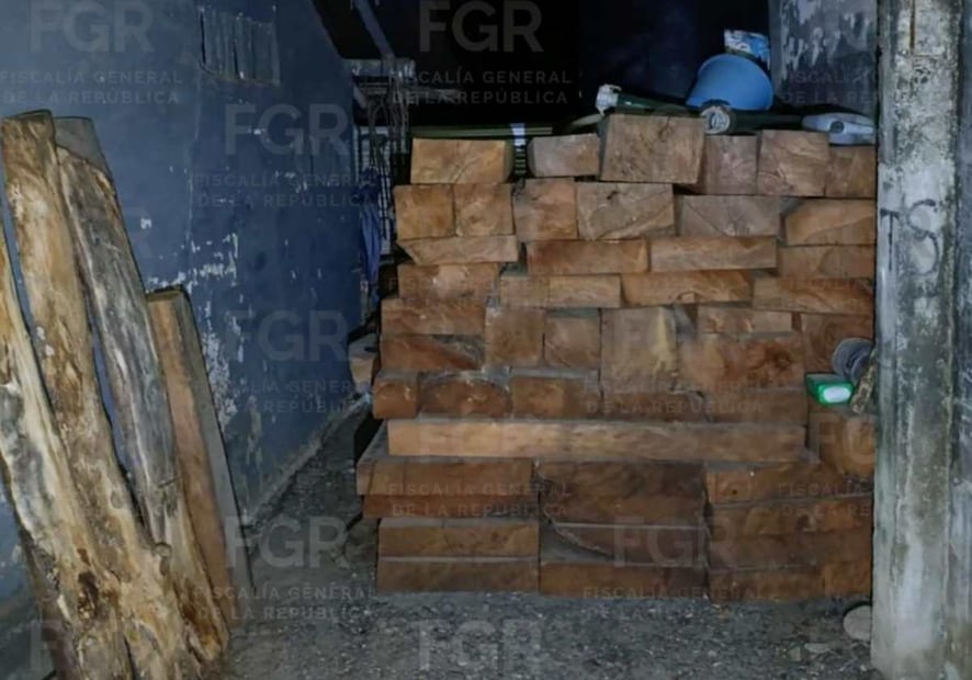 Los tablones asegurados quedaron a disposición del Ministerio Público Federal, adscrito a la Fiscalía Especializada de Control Regional en Veracruz. Foto: Especial