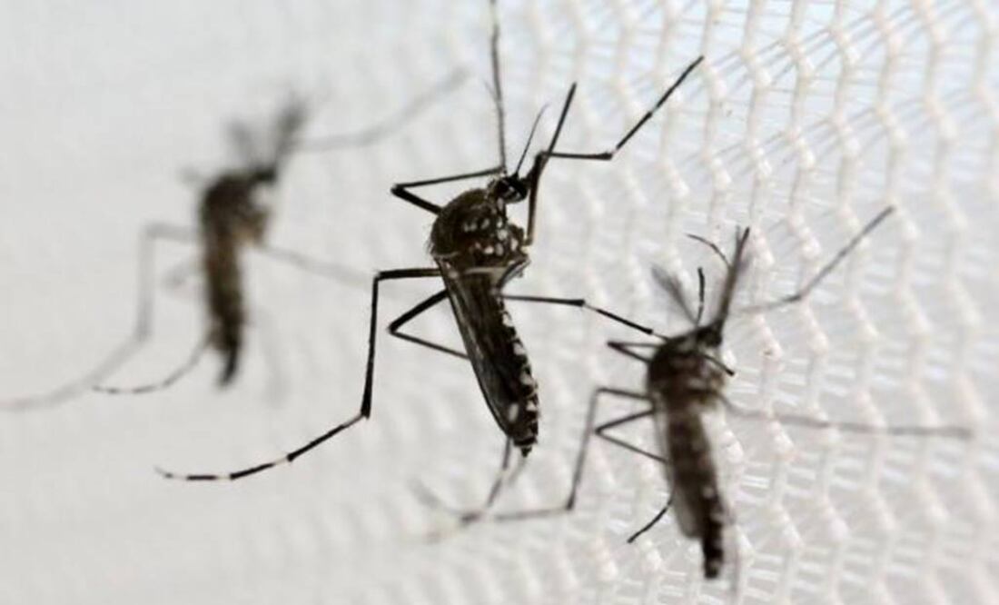 First U.S. Zika virus transmission reported, sexual transmission cited