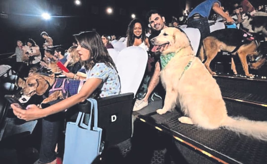 El sacerdote que bautizó a un perro y la industria de la felicidad canina