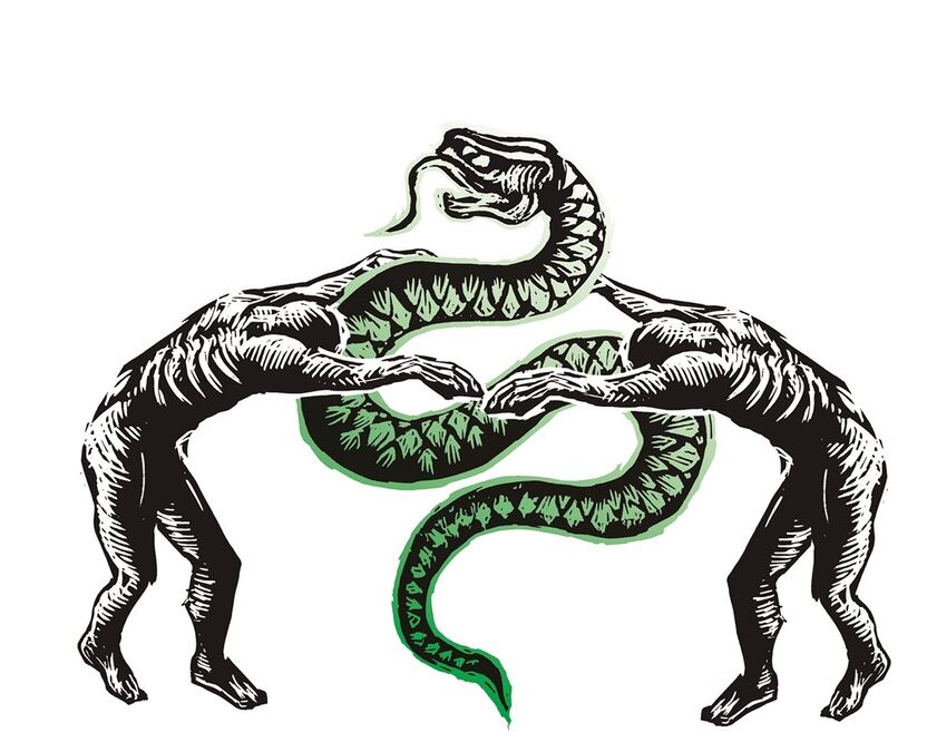 ¿Quiénes engañaron al Presidente?