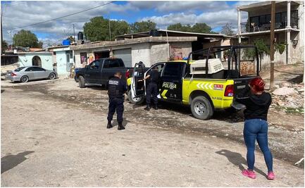 Reportan nuevo caso de envenenamiento masivo de perros en San Luis Potosí