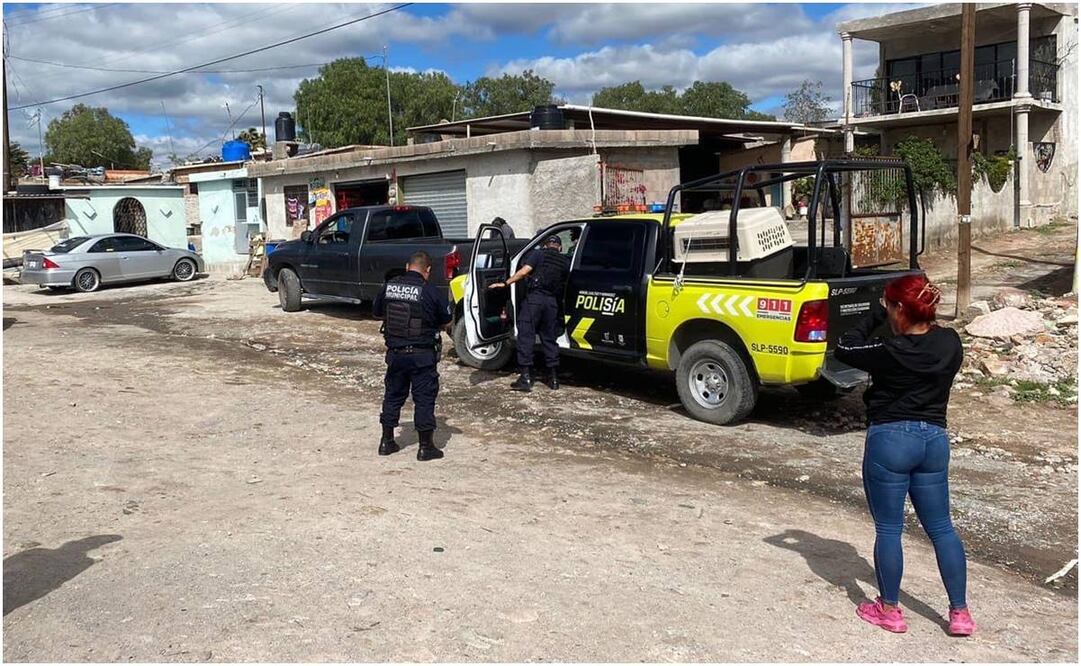 Nuevo envenenamiento masivo de perritos en Portezuelo, SLP. Foto: EL UNIVERSAL