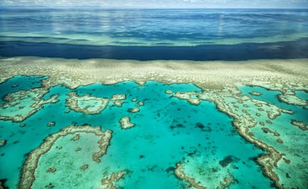 La Gran Barrera de Coral se está blanqueando