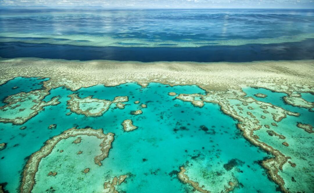 La Gran Barrera de Coral es Patrimonio de la Humanidad. (Foto: Thinkstock)