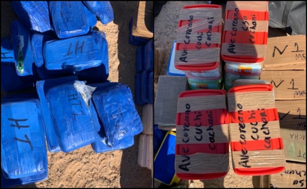 Aseguran avioneta con 338 kilos de droga en Sonora; hay 2 personas detenidas