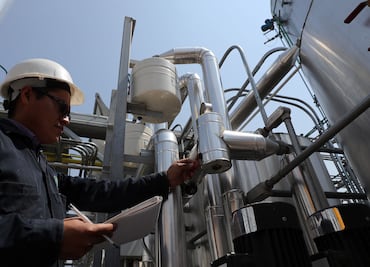 Frenan innovación de nopal