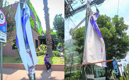 Basura electoral inunda ecosistemas por cielo, mar y tierra