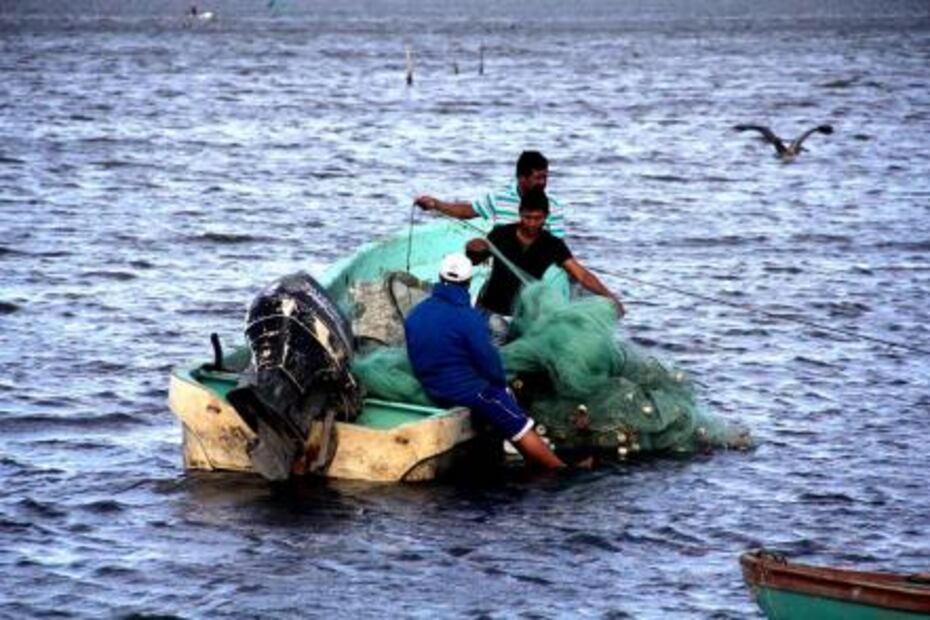 Pescadores de tiburón retaron al mar por necesidad; no volvieron