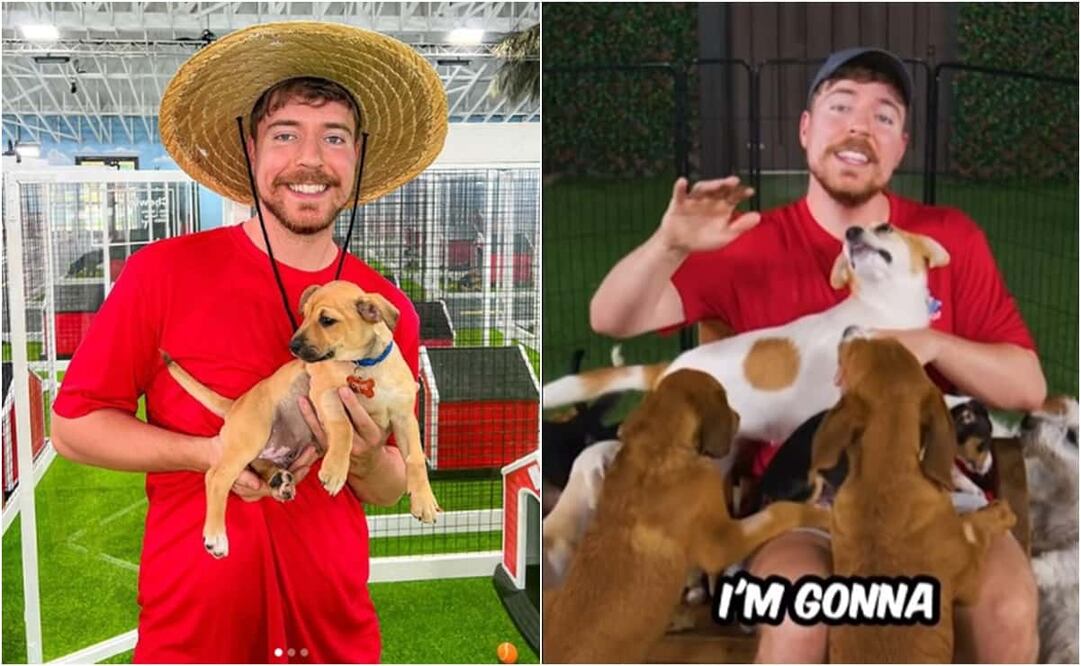 El video cuenta con 57 millones de reproducciones y más de 3.5 millones de “likes”. Foto: YouTube