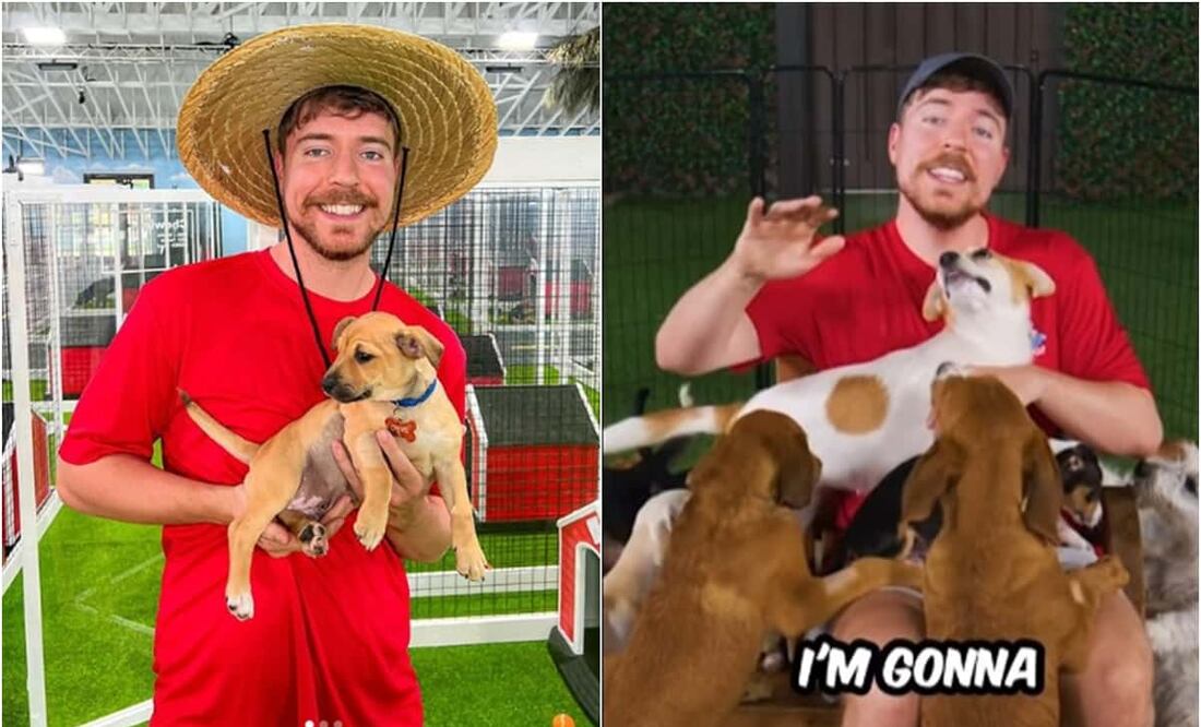 El video cuenta con 57 millones de reproducciones y más de 3.5 millones de “likes”. Foto: YouTube