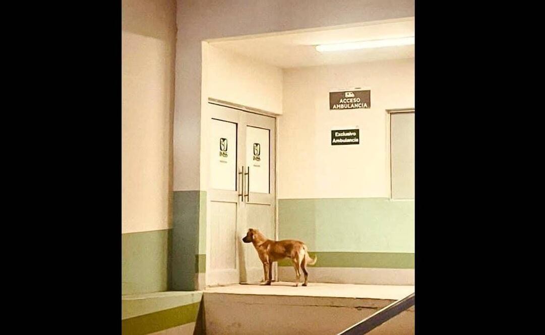 Fotos: Fiscalía de Sonora