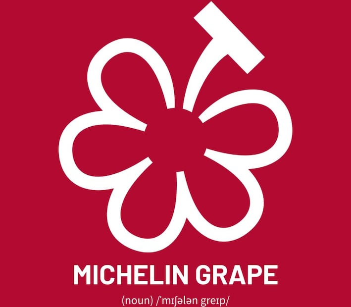 La uva Michelin es la más reciente distinción, que reconoce y destaca a bodegas y productores de vino de diferentes regiones del mundo. Foto: IG @michelinguide