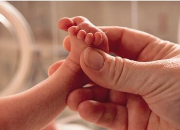 Desarrollan el primer útero artificial que ayudará a bebés prematuros