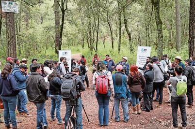 Exhortan a cuidar y "sentir" los bosques