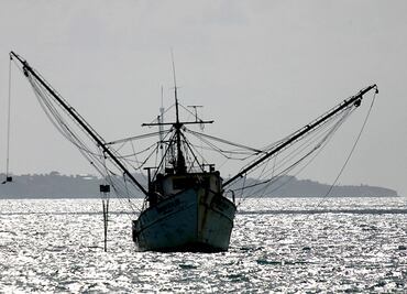 The rise of illegal fishing, a threat of austerity in Mexico