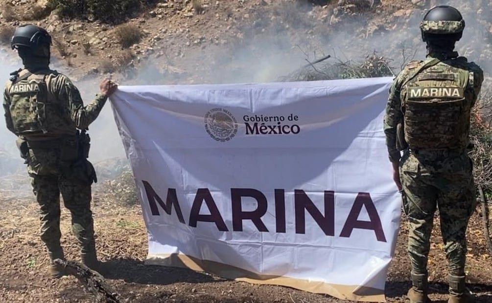 Marina incinera dos plantíos de marihuana en Tijuana, Baja California (25/07/2026). Foto: Especial