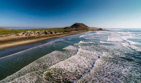 Qué hacer en San Quintín, mágico lugar en México con playas y cactus gigantes
