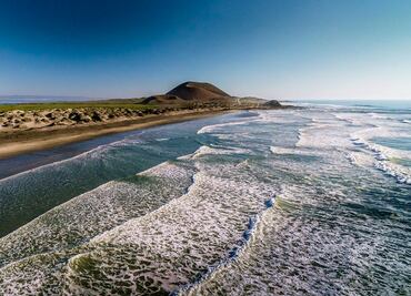 Qué hacer en San Quintín, mágico lugar en México con playas y cactus gigantes