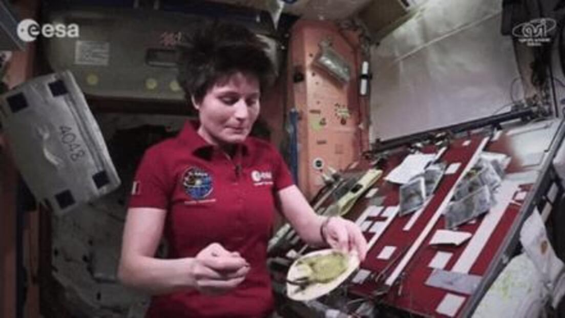 Los tacos llegan al espacio