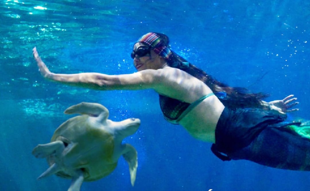 Conoce a las sirenas y tritones de este show acuático del Acuario Inbursa. Foto: Instagram  @acuarioinbursa