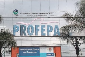 Profepa detalla clausura parcial del proyecto “Ciudad Maderas Península II”