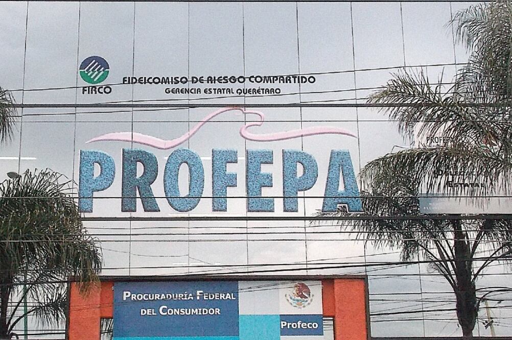 La Profepa aseguró 1.14 toneladas de residuos peligrosos en el segundo día del operativo (Especial)